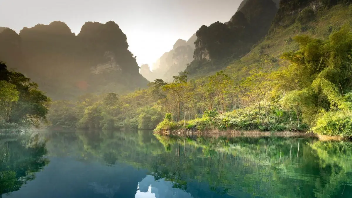 智能系统高端